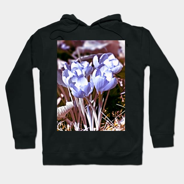 Crocus Infrared Hoodie by BonniePhantasm